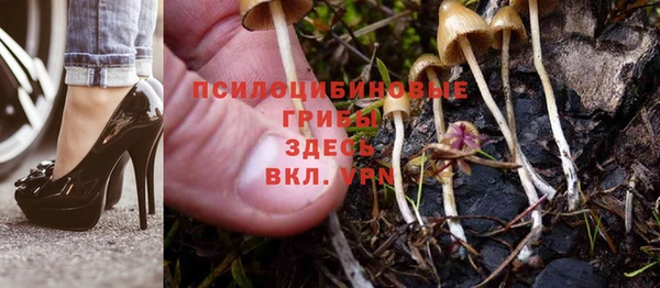 герыч Вязьма