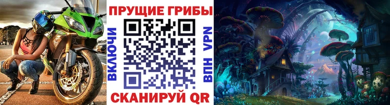 Купить  Зубцов  Галлюциногенные грибы мицелий 